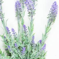 LAVENDER SPRAY, 19 IN, LAVENDER