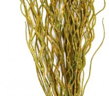 MOSS SPRAY, 23 IN, GREEN