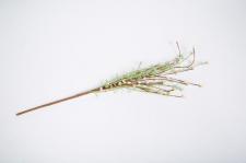 RICE BERRY & GREENERY SPRAY, 20 IN, CREAM, PINK, LIGHT YELLO