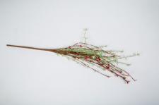 RICE BERRY & GREENERY SPRAY, 20 IN, PINK MIXED