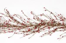 RICE BERRY GARLAND, 55IN, HW, CREAM/RED 