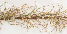 RICE BERRY GARLAND ,55IN, HW, YELLOW/LIGHT GREEN/PINK