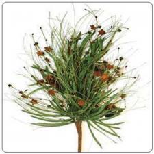 CHRISTMAS BOUQUET WITH LARGE PINECONES, RUST BELLS, RUST STA