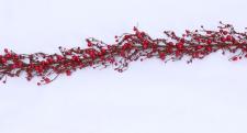 MIXED BERRY GARLAND WITH LARGE BERRIES, 55IN, BRIGHT RED