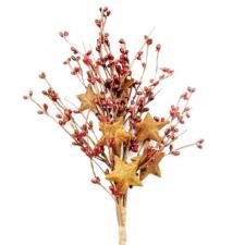 16 IN PICK WITH 3 STARS; 340 BERRIES; RED - SOLDOUT