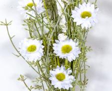 WILD FLOWER BOUQUET WITH PLASTIC GREENERY, 21 IN, HW, WHITE