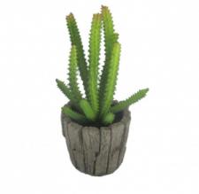 SUCCULENT IN A ROUND WOOD SHAPE CERAMIC  POT, 2-1/2 DIA X 8 