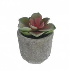 SUCCULENT IN A ROUND STONE FINISHED CERAMIC POT, 2-1/2 DIA X