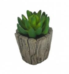 SUCCULENT IN A ROUND WOOD SHAPE CERAMIC  POT, 2-1/2 DIA X 5 